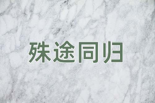 成语殊途同归