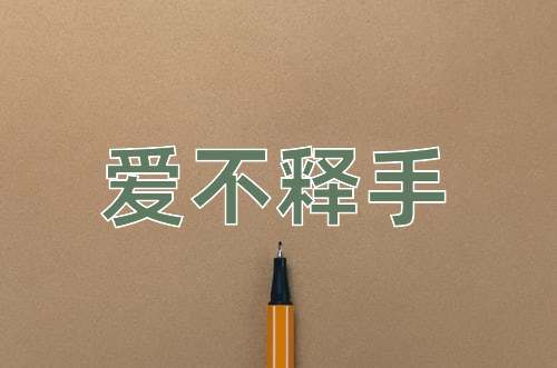 成语爱不释手