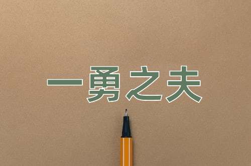 成语一勇之夫