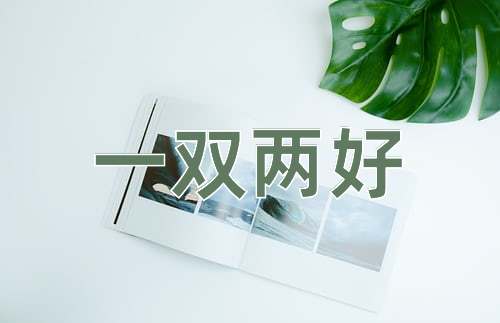 成语一双两好