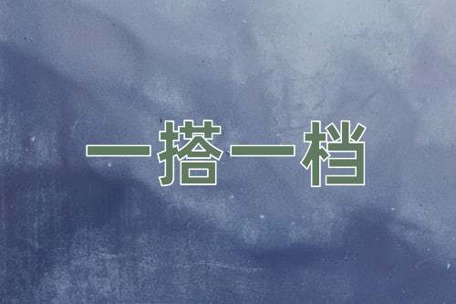 成语一搭一档