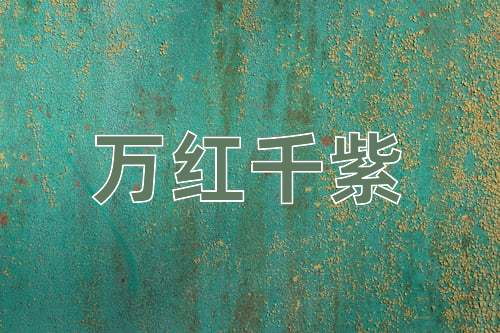 成语万红千紫