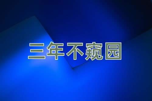 成语三年不窥园