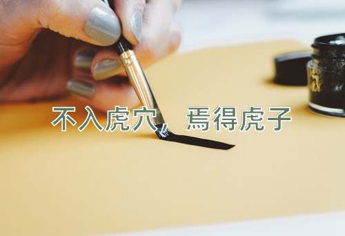 成语不入虎穴，焉得虎子