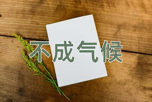 成语不成气候