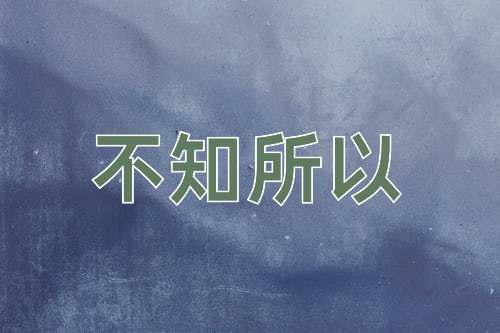 成语不知所以