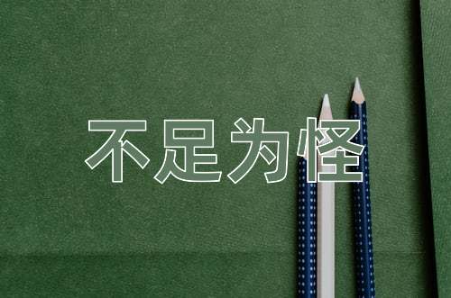 成语不足为怪