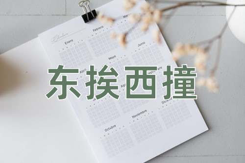 成语东挨西撞