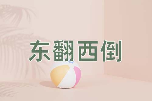 成语东翻西倒