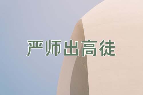 成语严师出高徒