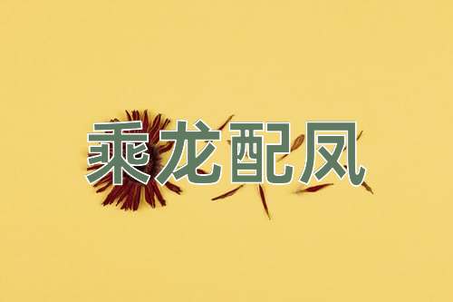 成语乘龙配凤