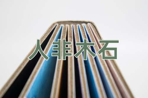 成语人非木石