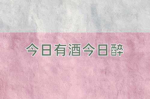 成语今日有酒今日醉