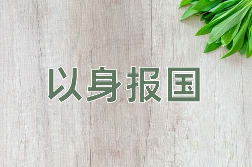成语以身报国