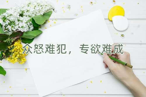 成语众怒难犯，专欲难成