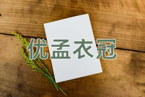 成语优孟衣冠