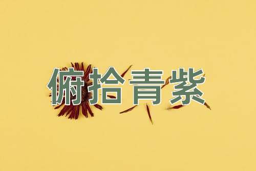 成语俯拾青紫