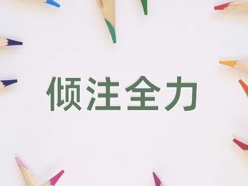 成语倾注全力