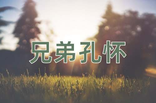 成语兄弟孔怀