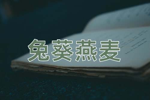 成语兔葵燕麦