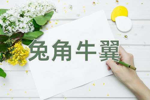 成语兔角牛翼