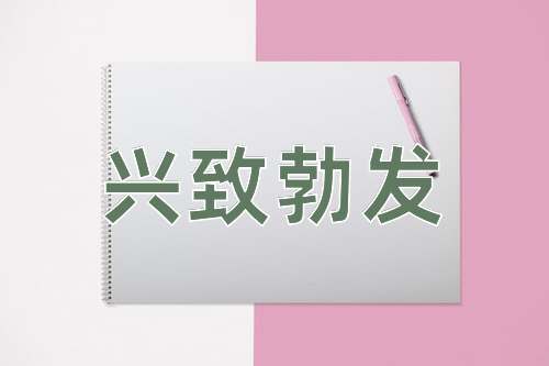 成语兴致勃发