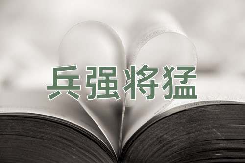 成语兵强将猛