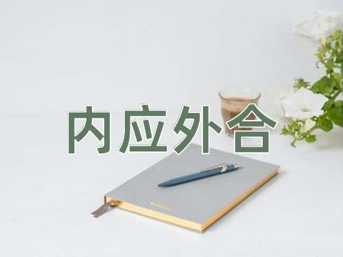 成语内应外合