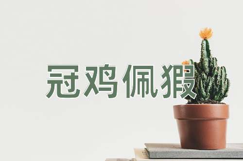 成语冠鸡佩猳