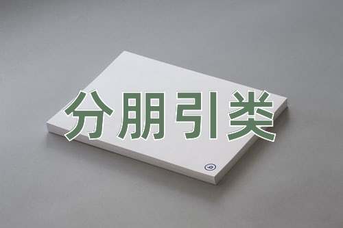 成语分朋引类