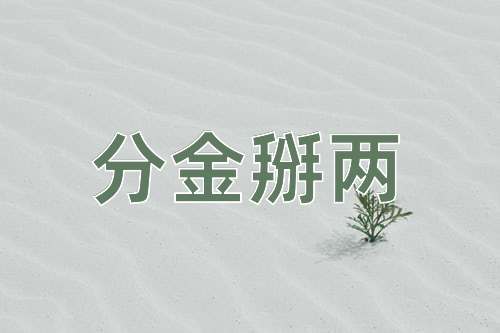 成语分金掰两