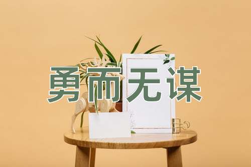 成语勇而无谋