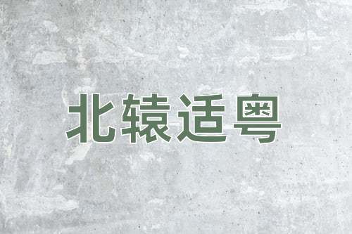 成语北辕适粤