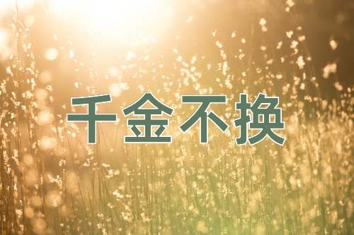 成语千金不换