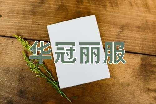 成语华冠丽服