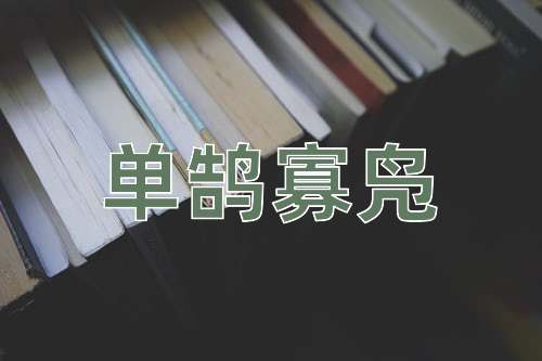 成语单鹄寡凫
