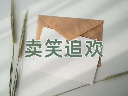 成语卖笑追欢