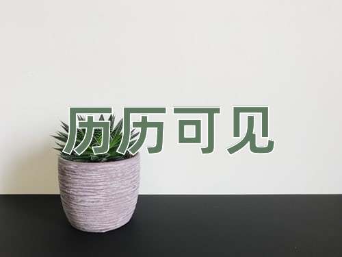 成语历历可见