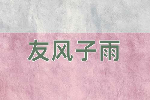 成语友风子雨