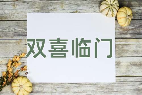 成语双喜临门