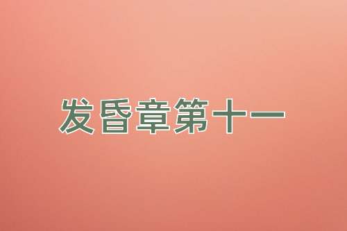 成语发昏章第十一