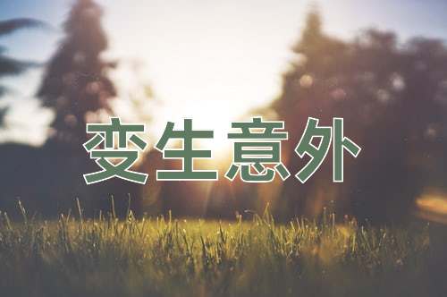 成语变生意外