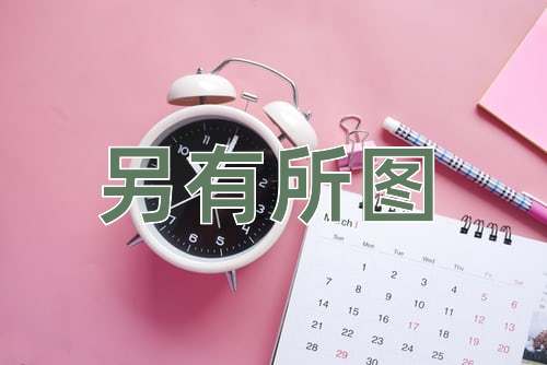 成语另有所图