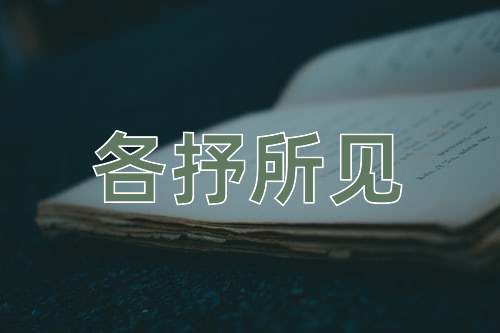 成语各抒所见