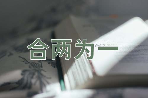 成语合两为一