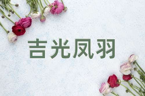 成语吉光凤羽