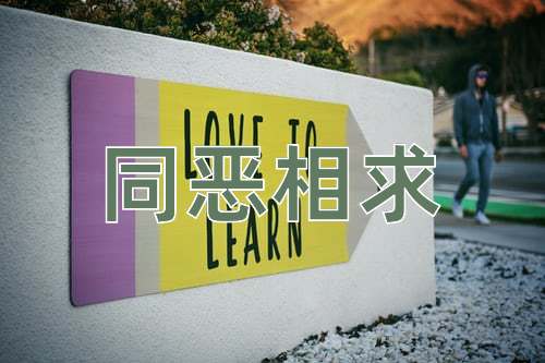 成语同恶相求