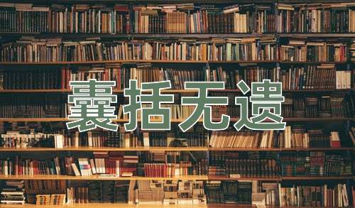 成语囊括无遗