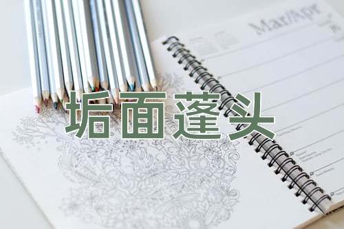成语垢面蓬头
