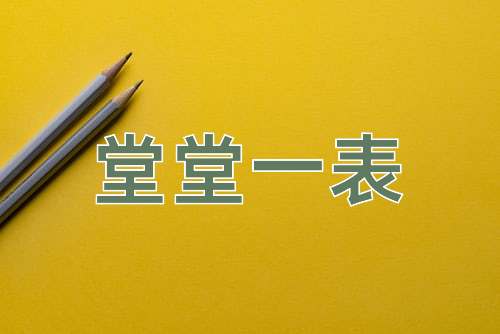 成语堂堂一表